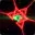?eg0wnage?