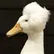 Felonious