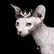 Agathe