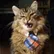 Faraón