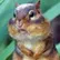 Ethnomania