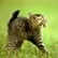Enric