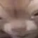 -HTR-