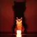 Carrie