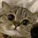 Dont tolk to ME