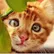 Marcelle