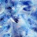 blue7919