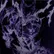 LLALLL