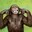 Macaquator