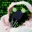 nosound