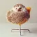 Baby Bird