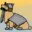 Neth