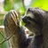 Azura