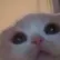 MoDiE
