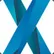 Ansaxident