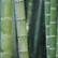 Shrek_60337