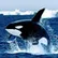 Sharlonn