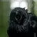 Tibalt