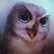 Birgit