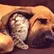 Elena