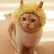 Pro NyanDestroyer