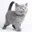 Agathe