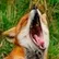 DeadsidE Fox