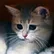 Cerys