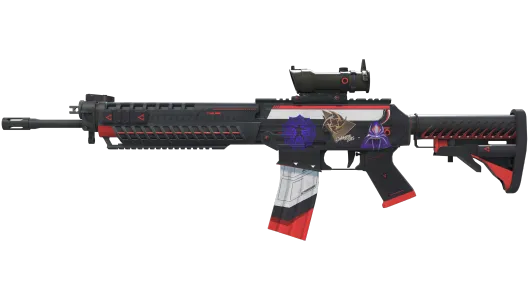 Skin's image