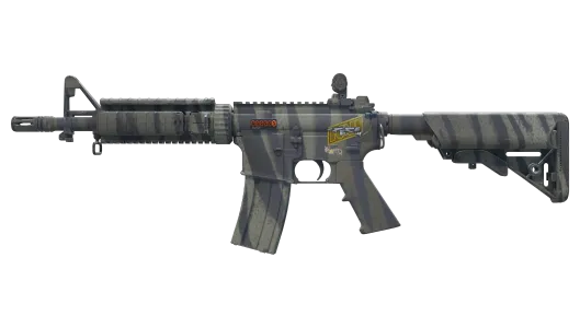 Skin's image