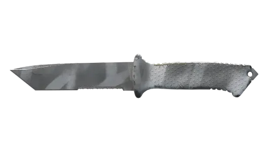 Skin's image