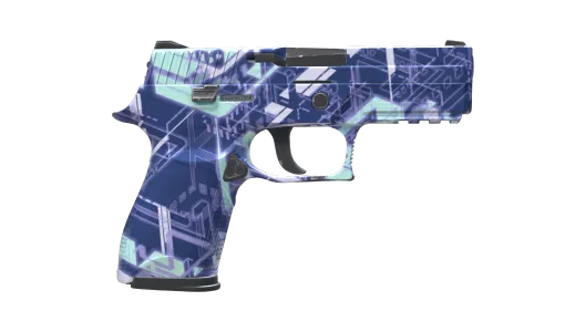 Skin's image