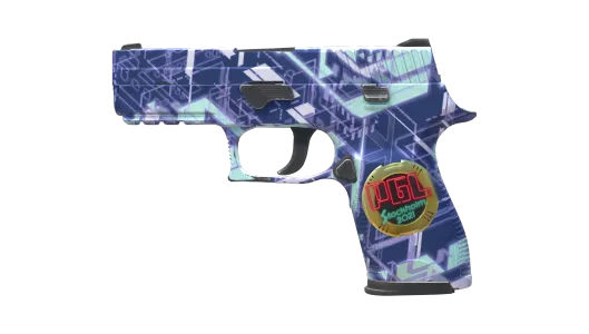 Skin's image