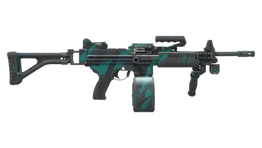 Skin's image