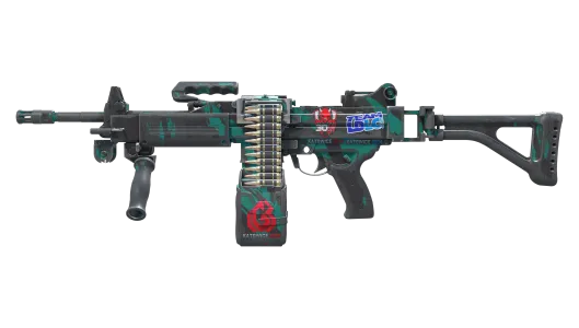 Skin's image