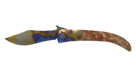 Skin's image