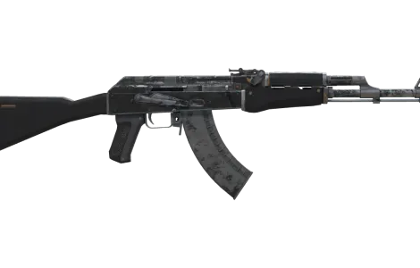 Skin's image