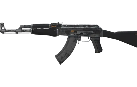 Skin's image
