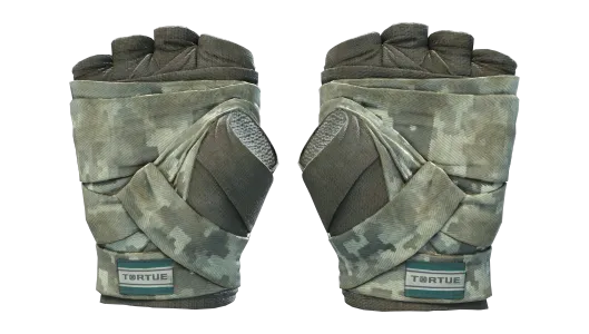 Skin's image