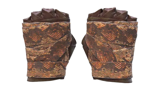 Skin's image