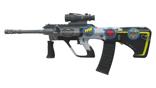 Skin's image