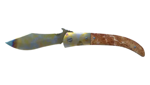 Skin's image