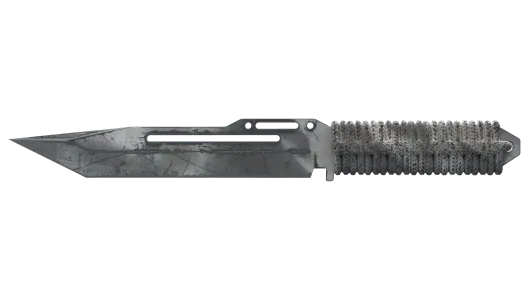 Skin's image