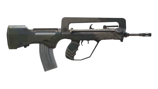 Skin's image
