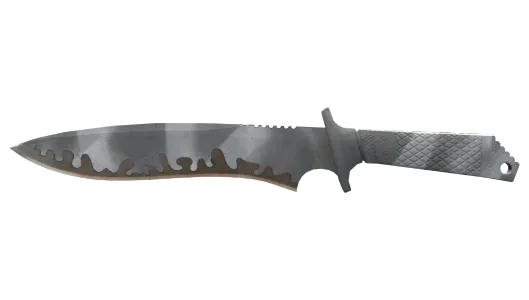 Skin's image