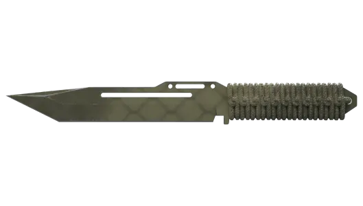 Skin's image