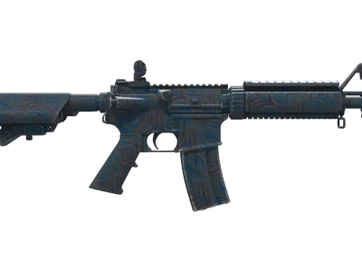 Skin's image