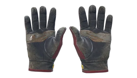 Skin's image