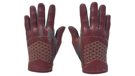 Skin's image