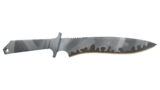 Skin's image